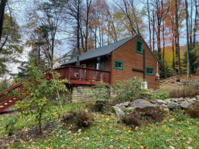 Cubs Den - Hot Tub- Walk to Lake- Fire Pit - Kayaks